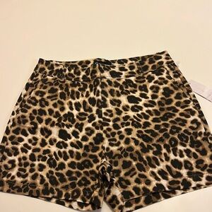 New York & Company Women’s Shorts